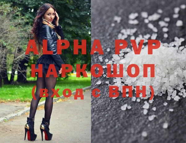 стафф Аркадак
